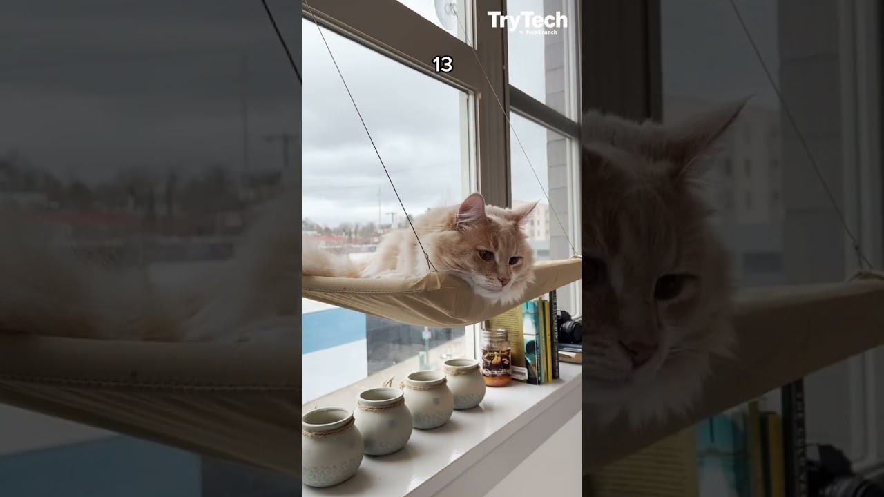 iPhone 14 vs 13: The most scientific camera test 😻 | TryTech | TechCrunch