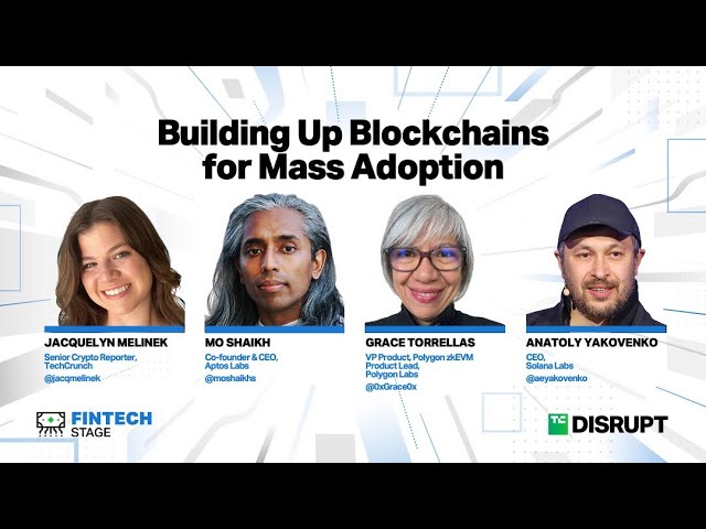 Building Up Blockchains for Mass Adoption
